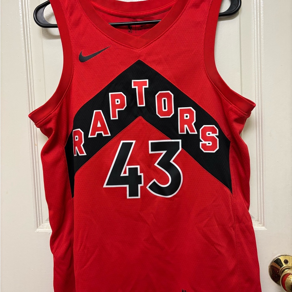 Nike Raptors NBA Basketball Jersey 43 SIAKAM women’s M